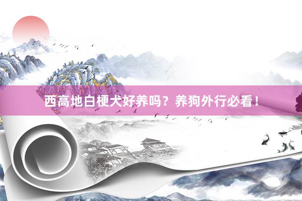 西高地白梗犬好养吗?养狗外行必看!